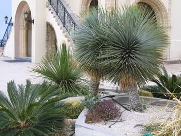 Родос. Путешествие на автомобиле по Родосу (а также Косу и Патмосу), май 2011 год