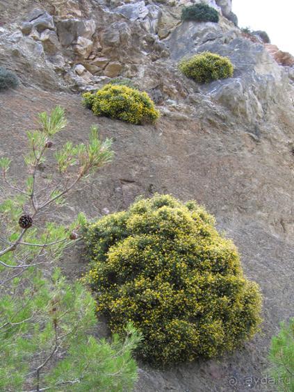 Родос. Путешествие на автомобиле по Родосу (а также Косу и Патмосу), май 2011 год