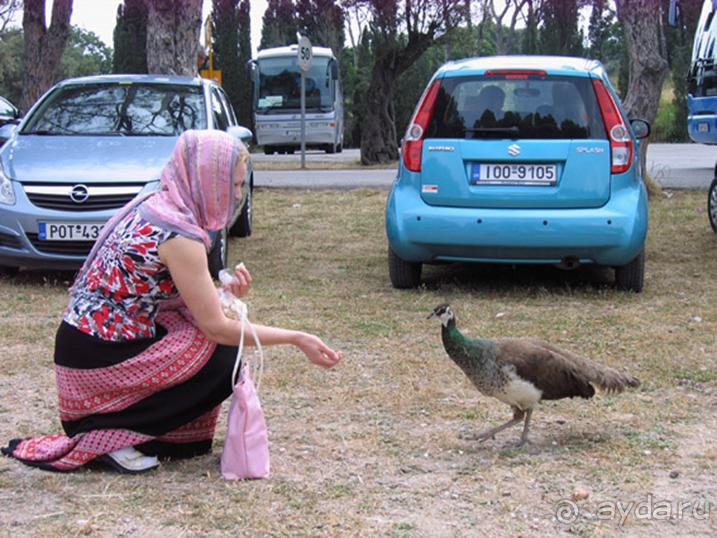 Родос. Путешествие на автомобиле по Родосу (а также Косу и Патмосу), май 2011 год