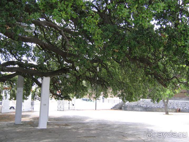 Родос. Путешествие на автомобиле по Родосу (а также Косу и Патмосу), май 2011 год