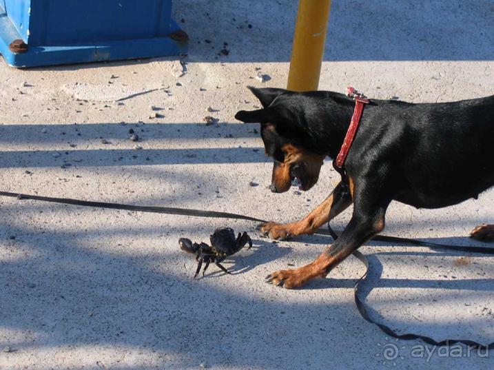 Родос. Путешествие на автомобиле по Родосу (а также Косу и Патмосу), май 2011 год