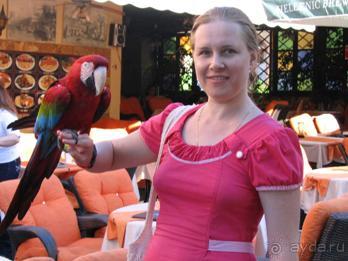 Родос. Путешествие на автомобиле по Родосу (а также Косу и Патмосу), май 2011 год