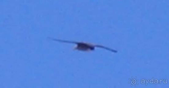 Родос. Путешествие на автомобиле по Родосу (а также Косу и Патмосу), май 2011 год