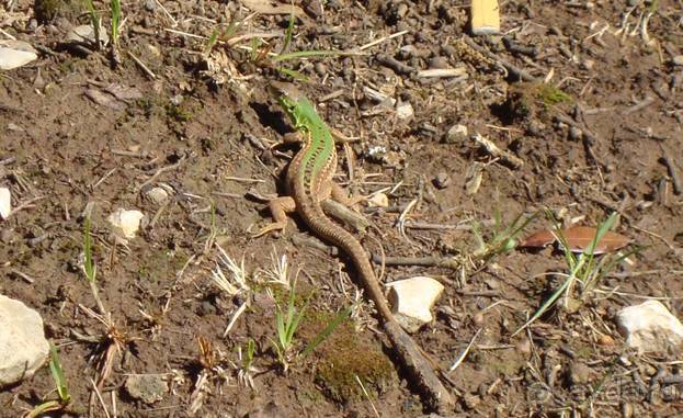 Путешествие на автомобиле по Хорватии, июнь 2010 год