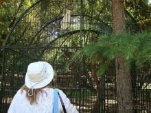 Путешествие на автомобиле по Хорватии, июнь 2010 год