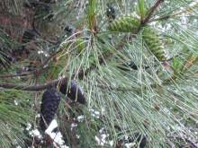 Путешествие на автомобиле по Хорватии, июнь 2010 год