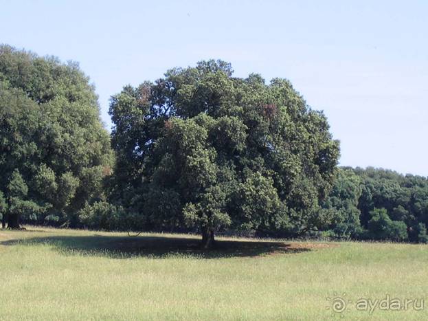 Путешествие на автомобиле по Хорватии, июнь 2010 год