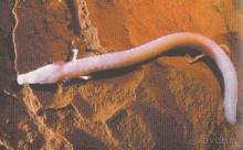 Путешествие на автомобиле по Хорватии, июнь 2010 год