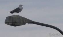 Путешествие на автомобиле по Хорватии, июнь 2010 год