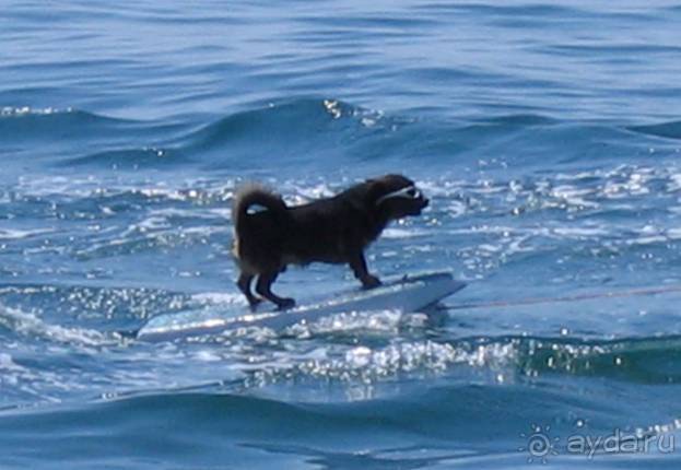 Путешествие на автомобиле по Хорватии, июнь 2010 год