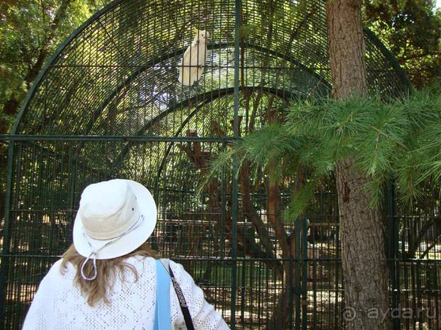 Путешествие на автомобиле по Хорватии, июнь 2010 год