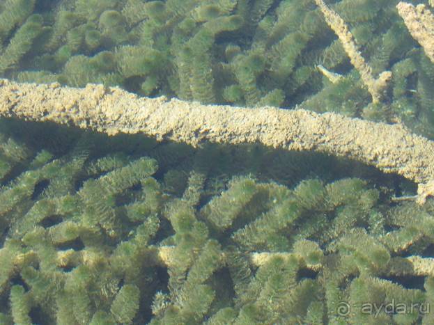 Путешествие на автомобиле по Хорватии, июнь 2010 год