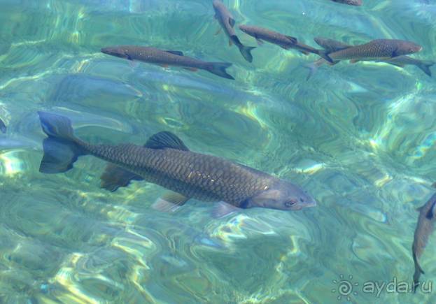 Путешествие на автомобиле по Хорватии, июнь 2010 год