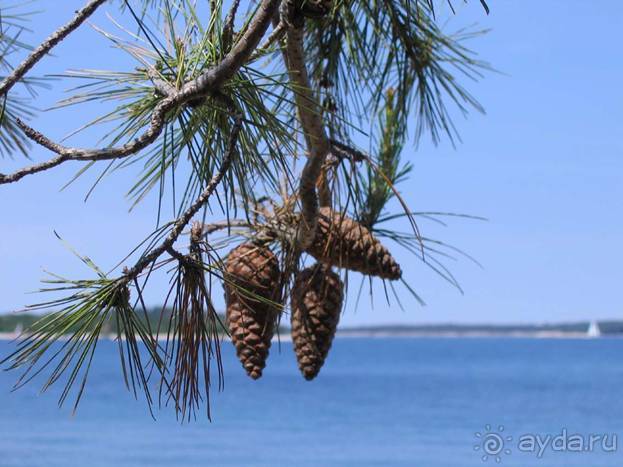 Путешествие на автомобиле по Хорватии, июнь 2010 год