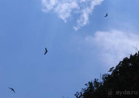 Путешествие на автомобиле по Хорватии, июнь 2010 год