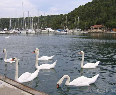 Путешествие на автомобиле по Хорватии, июнь 2010 год