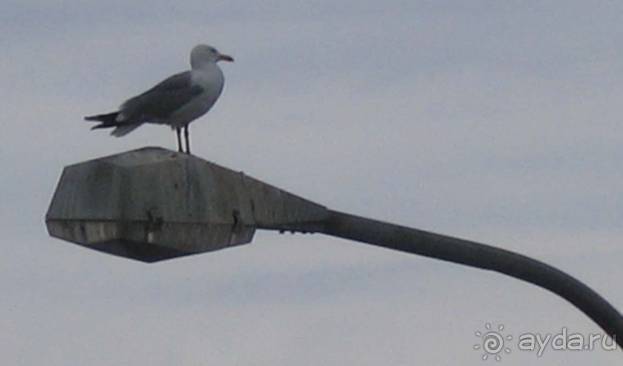 Путешествие на автомобиле по Хорватии, июнь 2010 год