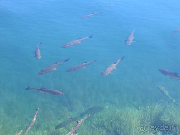 Путешествие на автомобиле по Хорватии, июнь 2010 год