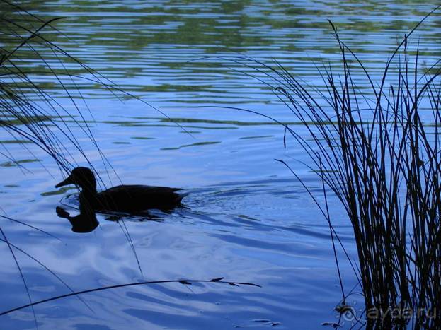 Путешествие на автомобиле по Хорватии, июнь 2010 год