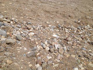 Мы уехали из Зиганы на неделю раньше срока!