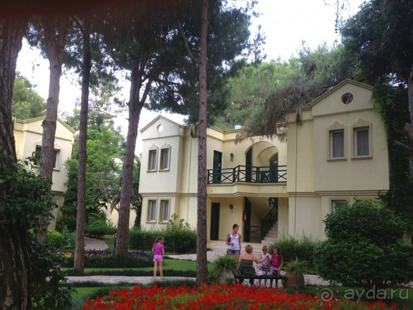 Мы уехали из Зиганы на неделю раньше срока!