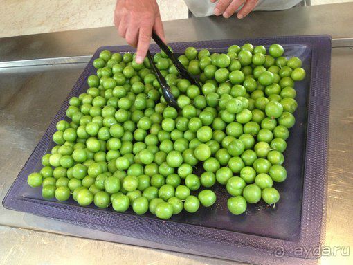 Мы уехали из Зиганы на неделю раньше срока!