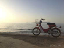 фото Themis Beach