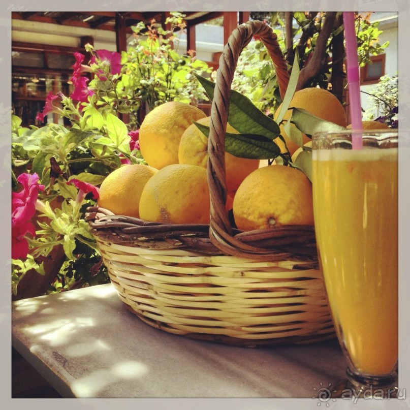 Греция хорошо но в Крит я больше не ногой