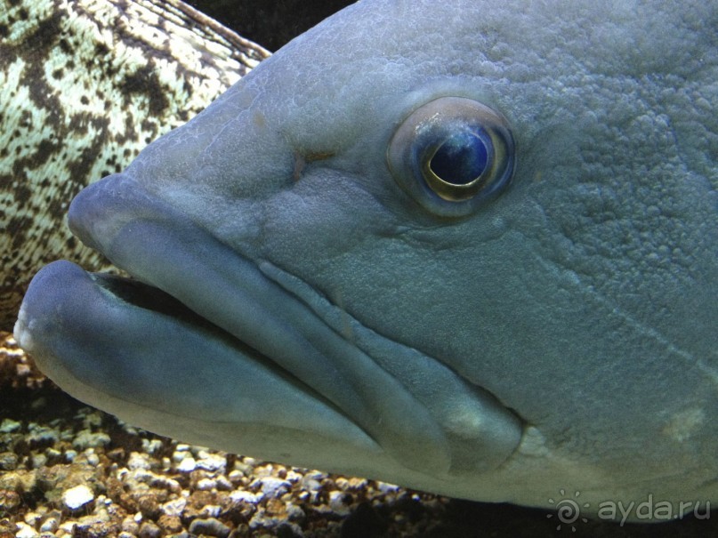 Греция хорошо но в Крит я больше не ногой