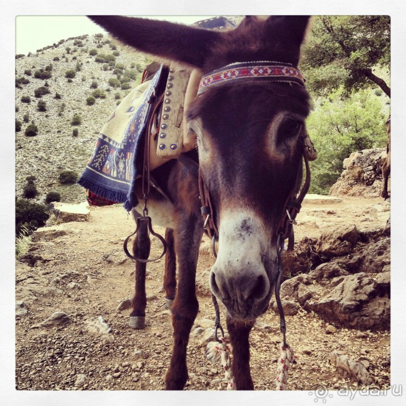 Греция хорошо но в Крит я больше не ногой