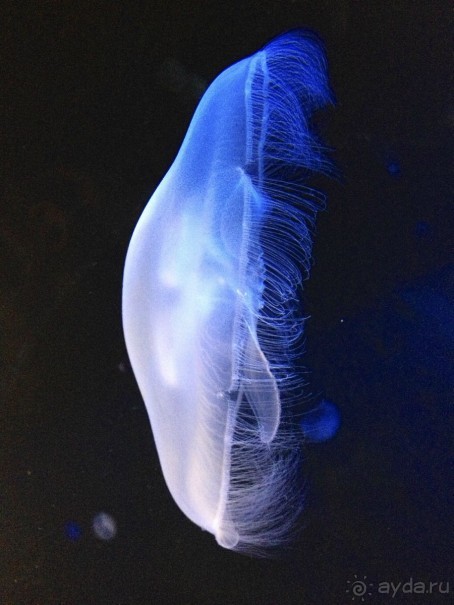 Греция хорошо но в Крит я больше не ногой