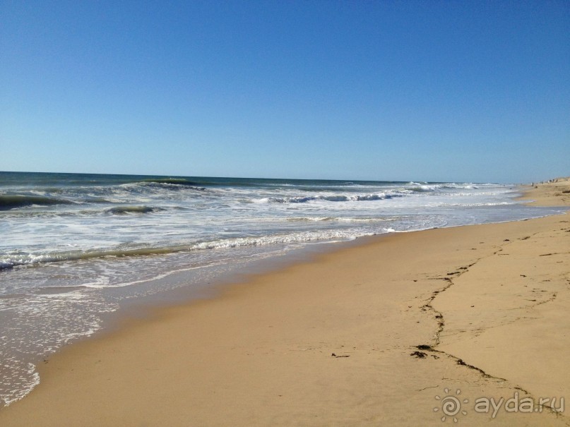 Альбом отзыва "МОЯ ПОЕЗДКА В БОРДО."