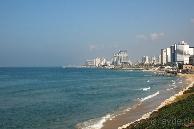 Альбом отзыва "Впервые на израильской земле"