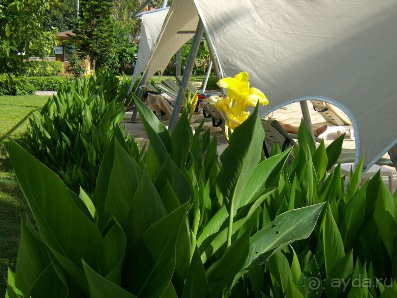 Вырвись из будней