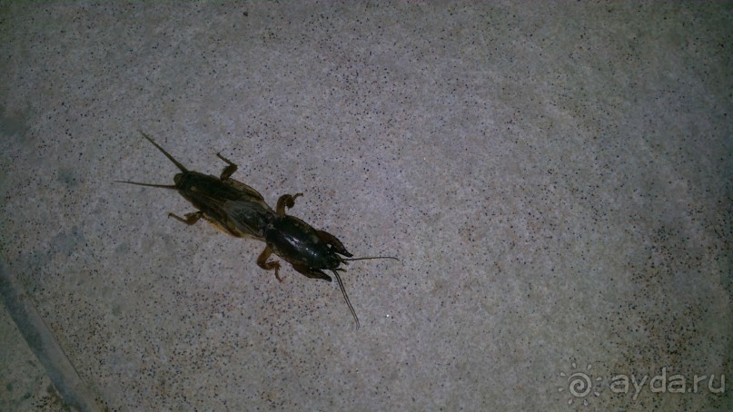 Вырвись из будней