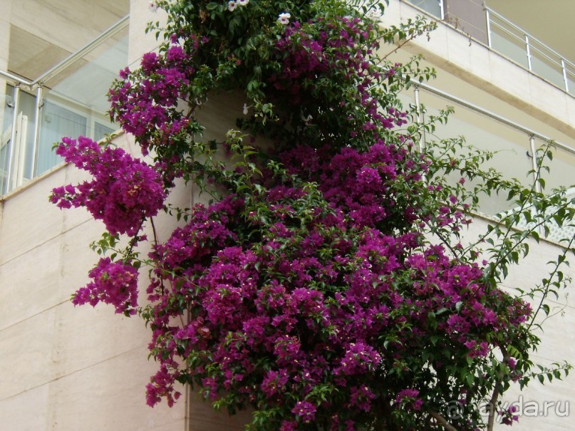 Вырвись из будней