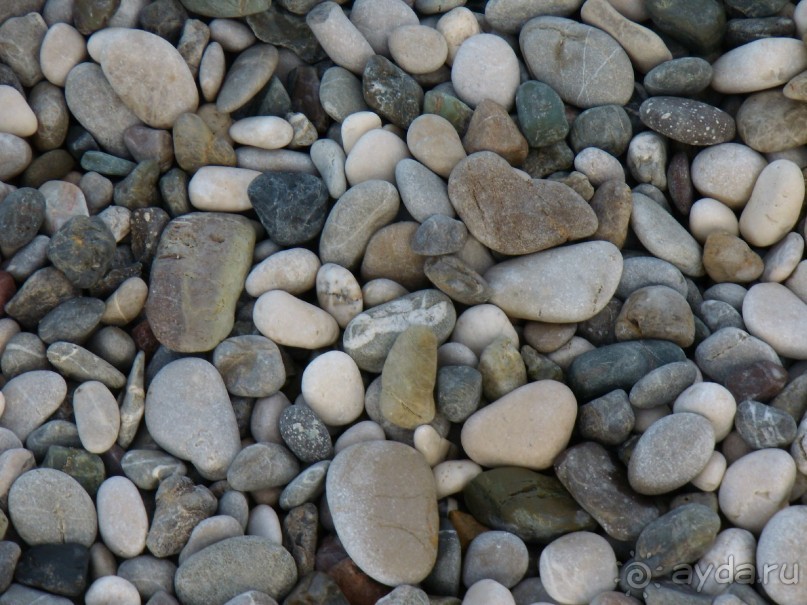 Вырвись из будней