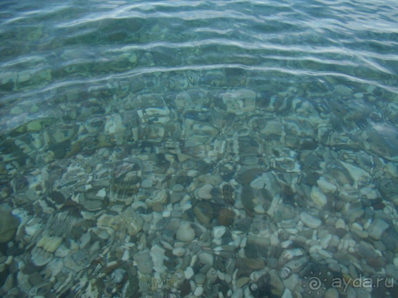 Вырвись из будней