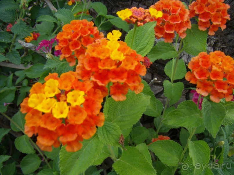 Вырвись из будней