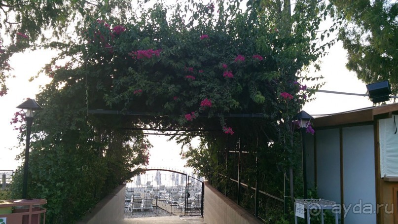 Вырвись из будней