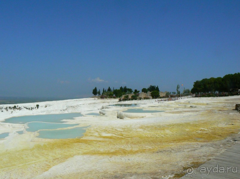 Кто рано встает...