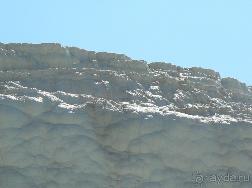 Кто рано встает...