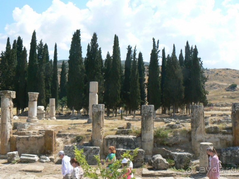 Кто рано встает...