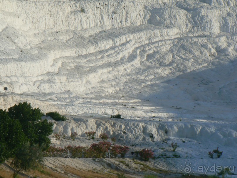 Кто рано встает...