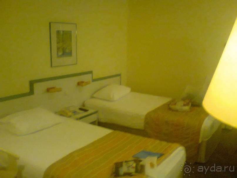 Отель с термальными источниками