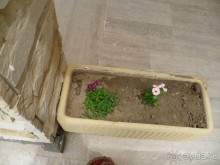 Никогда не приезжайте в этот отель и позор КОРАЛ ТРЕВЕЛ