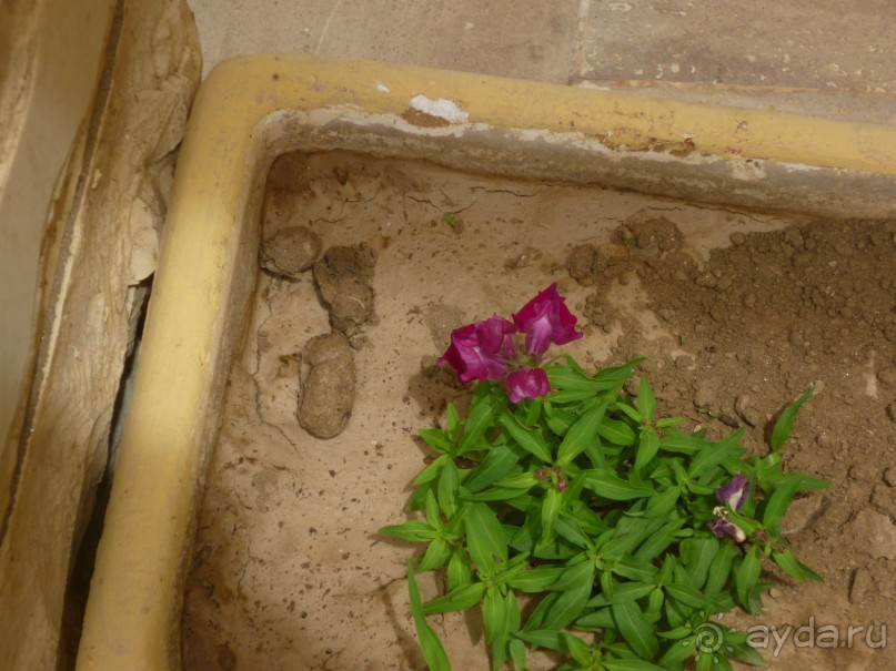 Никогда не приезжайте в этот отель и позор КОРАЛ ТРЕВЕЛ