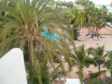 фото Jardin Tropical