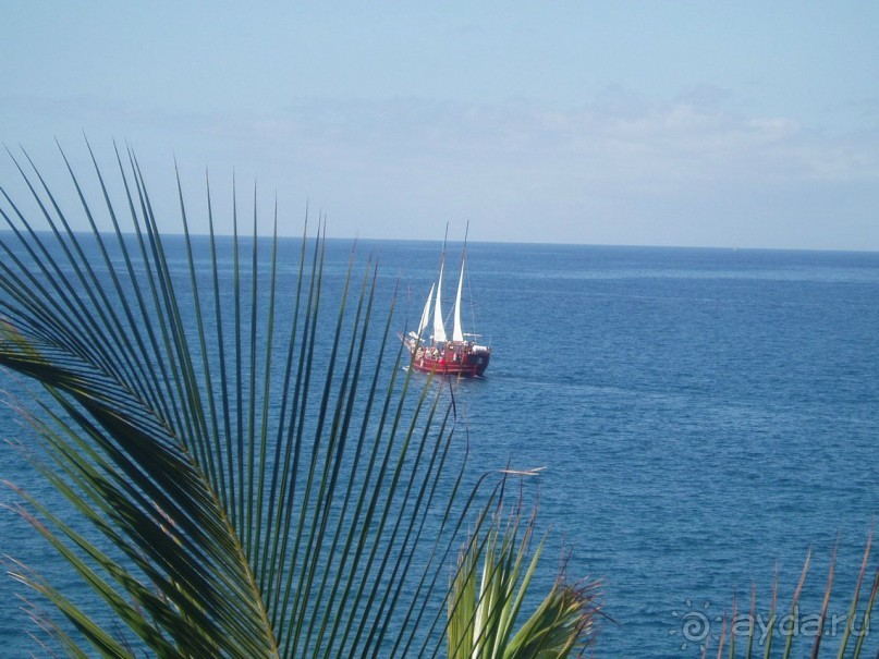 фото Arena Bianca