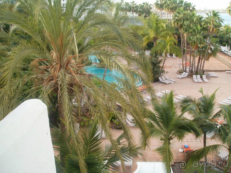 фото Arena Bianca